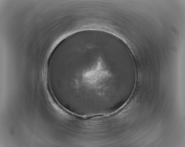 X0000111171515200907081204