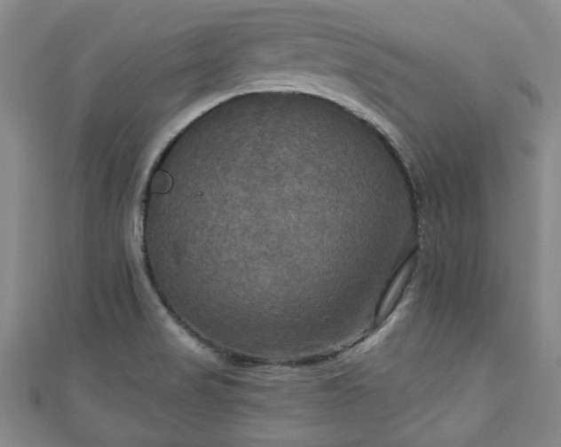 X0000111171517200907081204