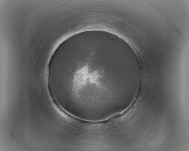 X0000111171519200907081204