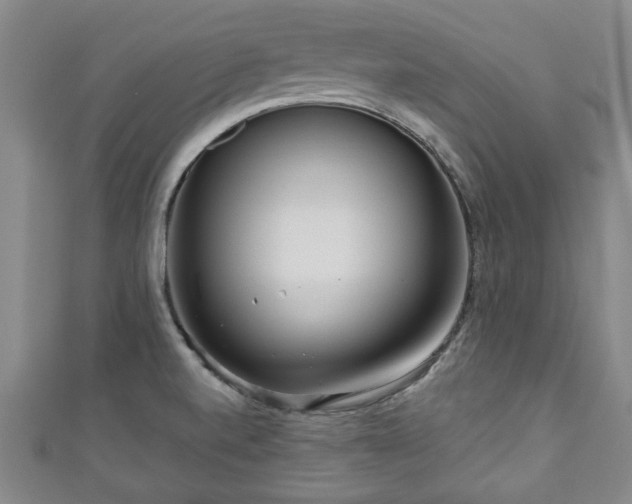 X0000111171520200907081204