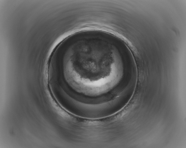 X0000111171522200907081204