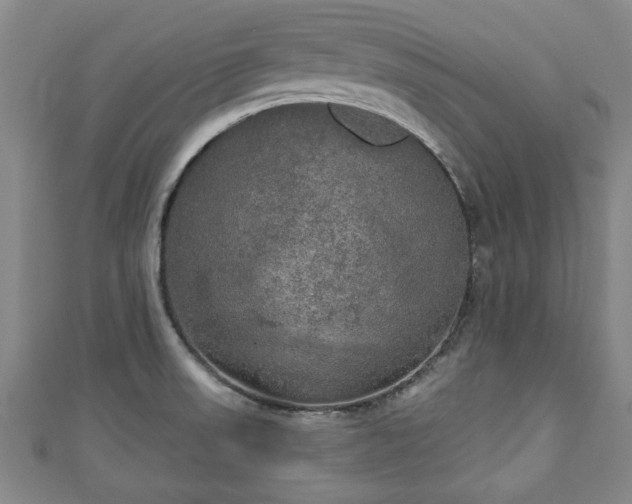 X0000111171523200907081204