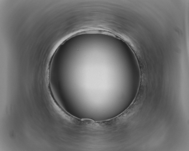 X0000111171524200907081204