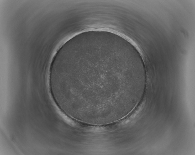 X0000111171525200907081204