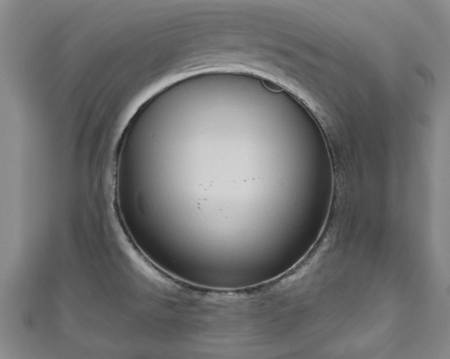 X0000111171526200907081204