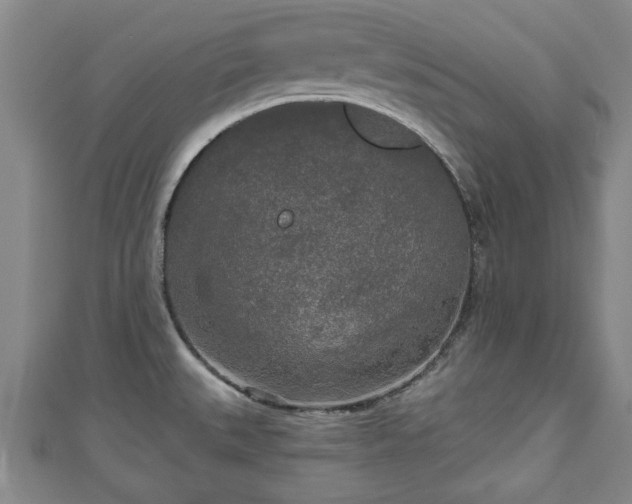 X0000111171527200907081204