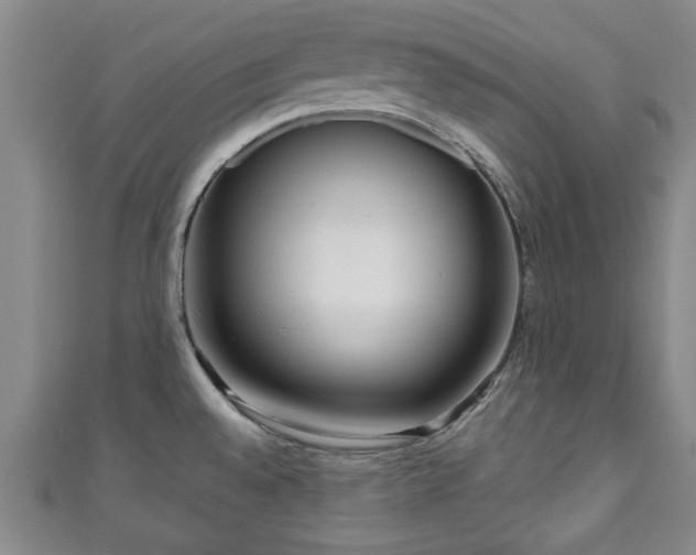 X0000111171528200907081204