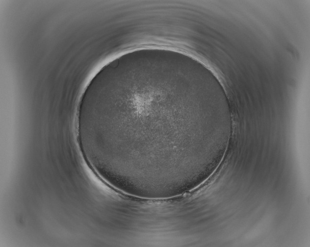 X0000111171531200907081204