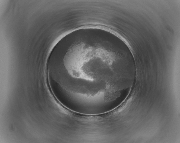 X0000111171533200907081204