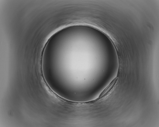 X0000111171534200907081204