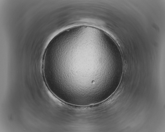 X0000111171535200907081204