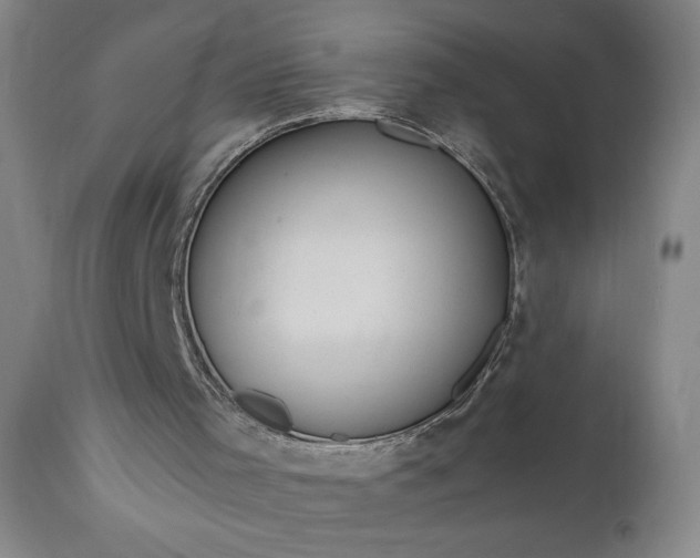 X0000111170001200907151311