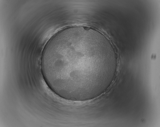 X0000111170002200907151311