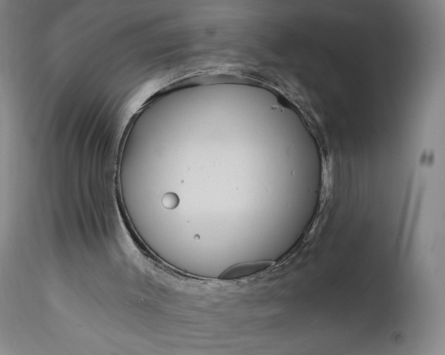 X0000111170003200907151310