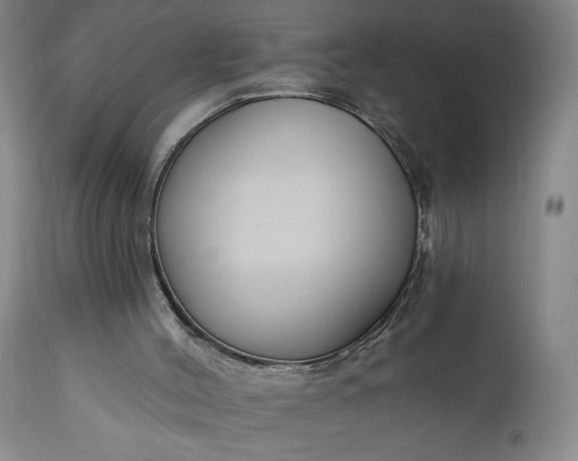 X0000111170004200907151310