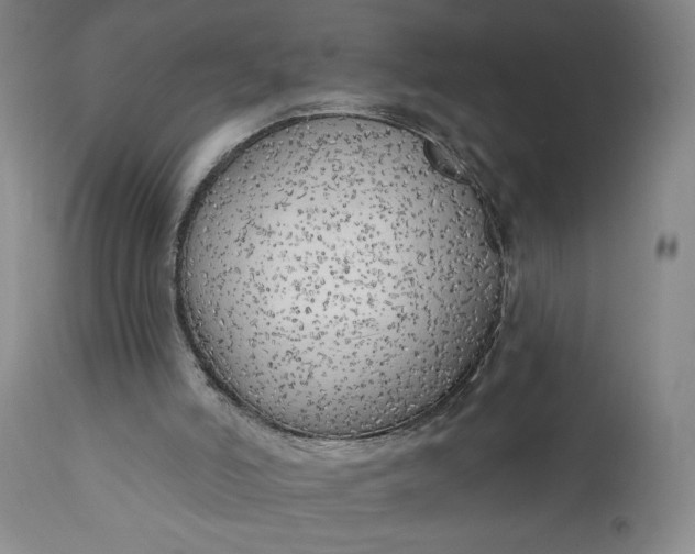 X0000111170006200907151310