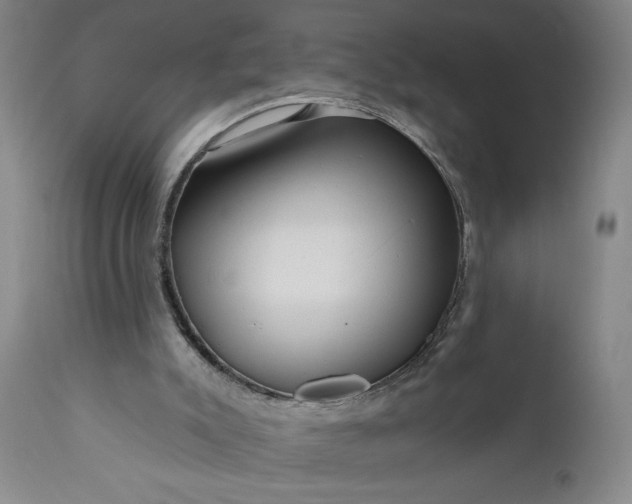 X0000111170007200907151310