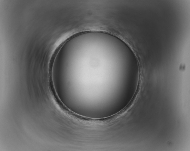 X0000111170008200907151310