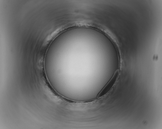 X0000111170009200907151310