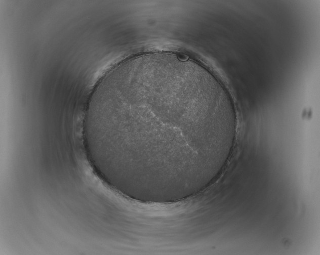 X0000111170010200907151310