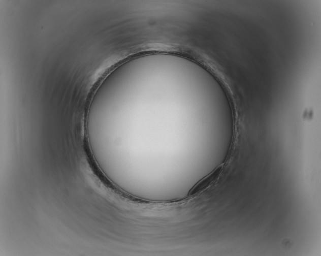 X0000111170011200907151310