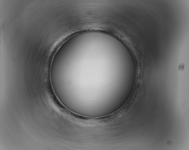 X0000111170012200907151310