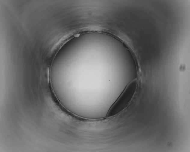 X0000111170013200907151310