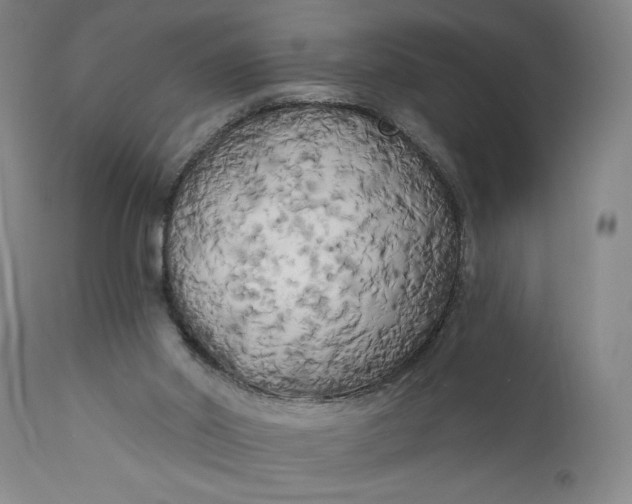 X0000111170014200907151310