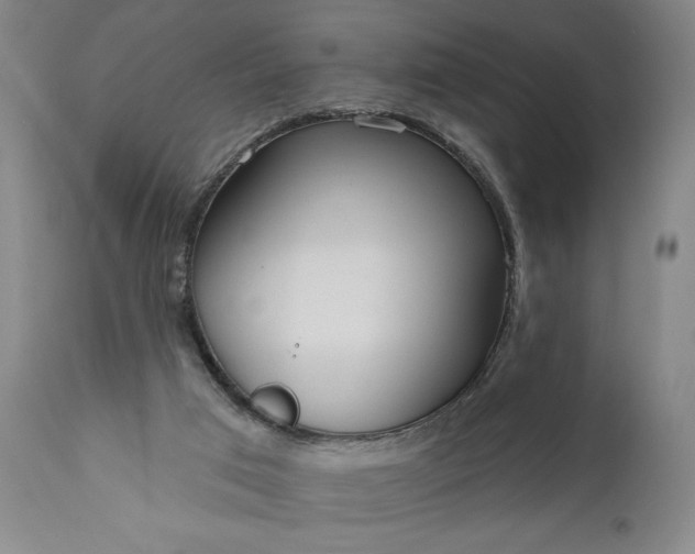 X0000111170017200907151310