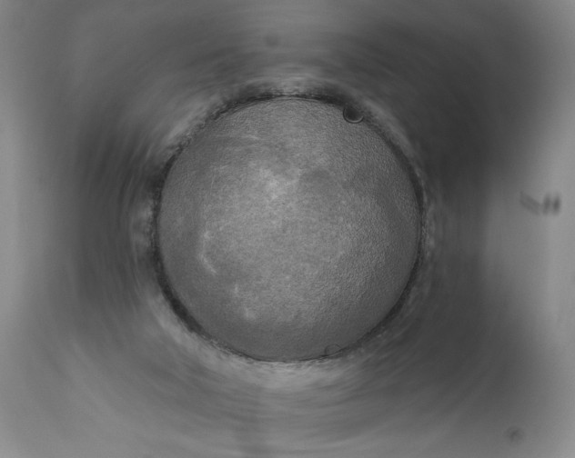 X0000111170018200907151310