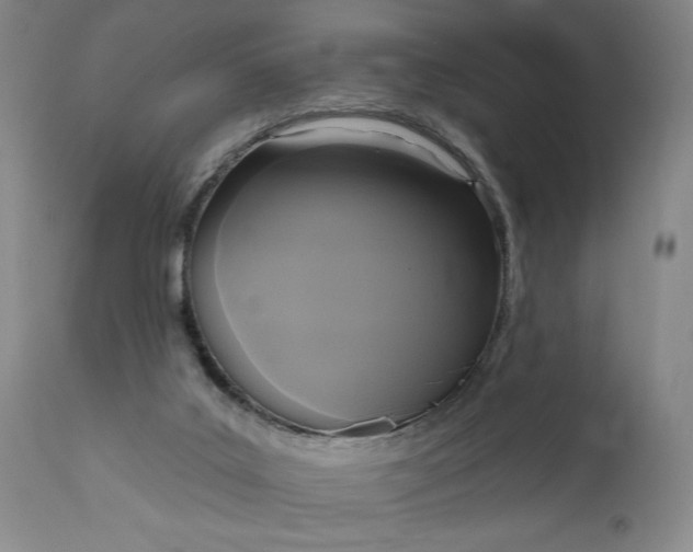 X0000111170019200907151310