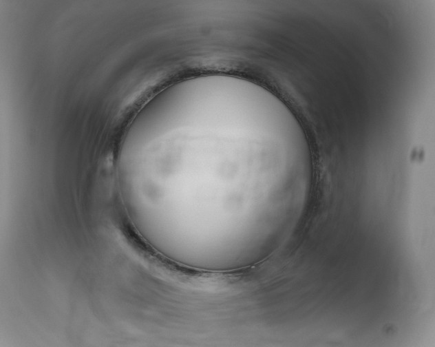 X0000111170020200907151310