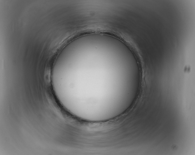 X0000111170021200907151310