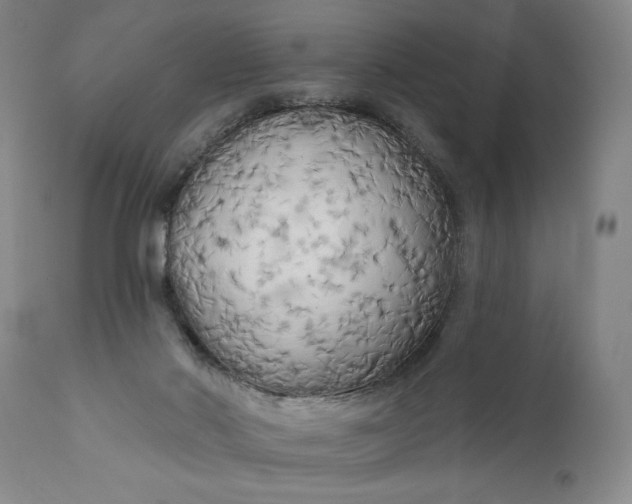 X0000111170022200907151310