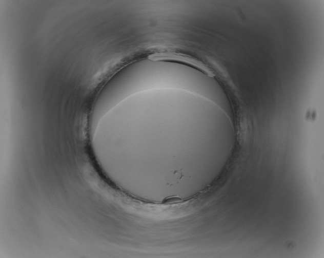 X0000111170023200907151310