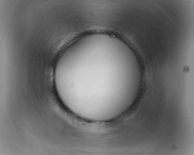 X0000111170024200907151310