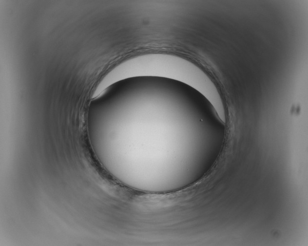 X0000111170025200907151310