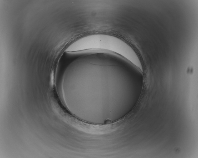 X0000111170027200907151310