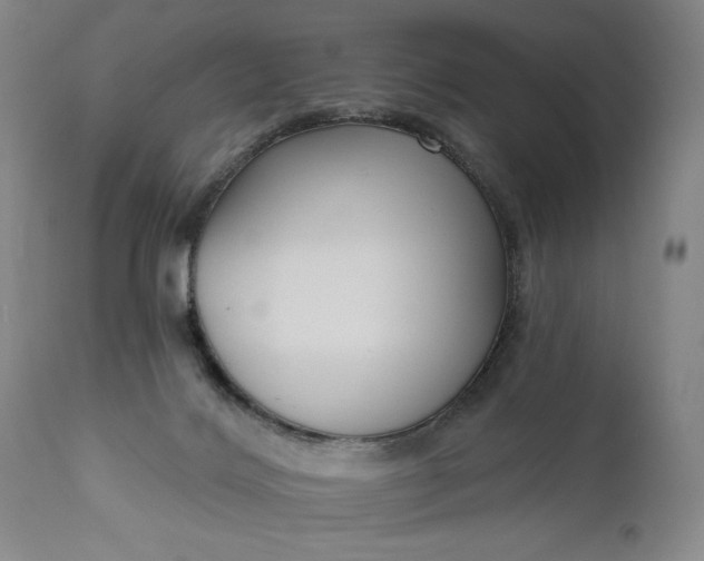 X0000111170028200907151310