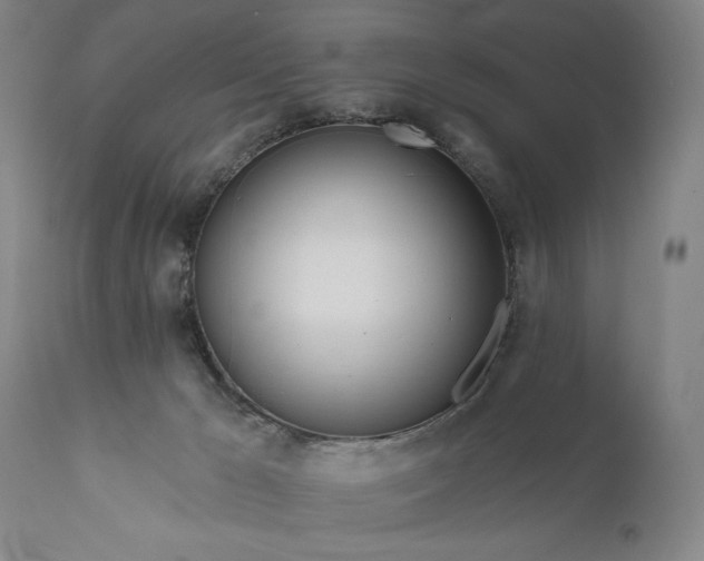 X0000111170029200907151310