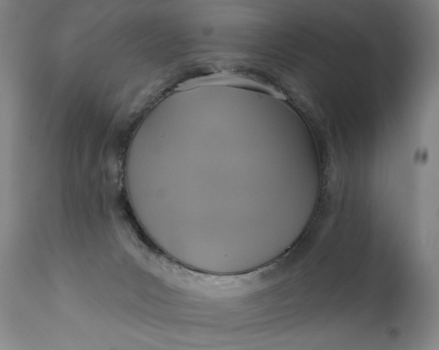 X0000111170031200907151310