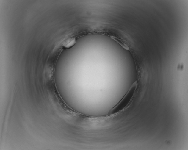 X0000111170033200907151310