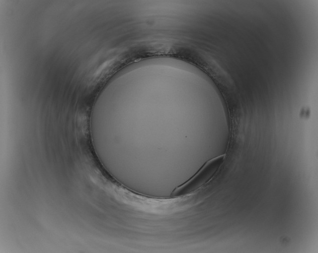 X0000111170035200907151310