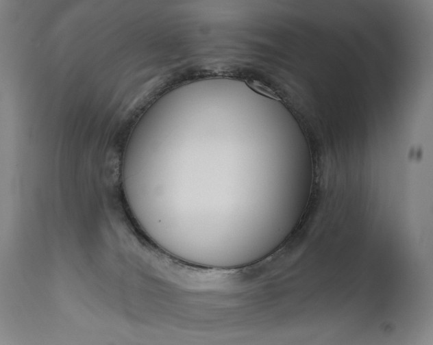 X0000111170036200907151310