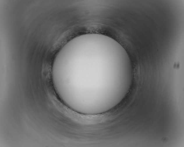 X0000111170038200907151310