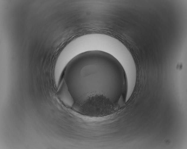 X0000111170039200907151310