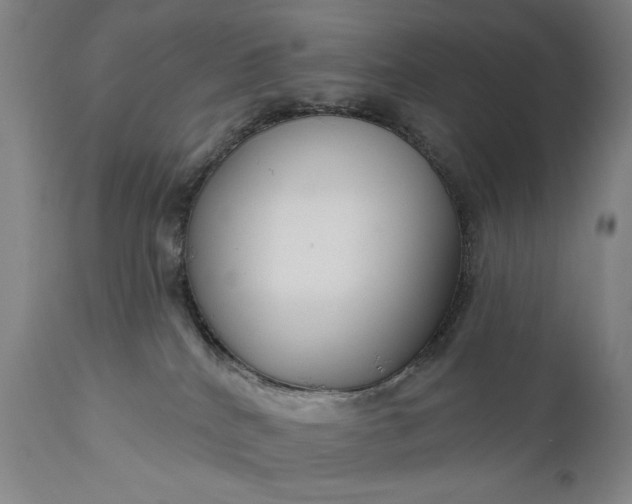 X0000111170040200907151310