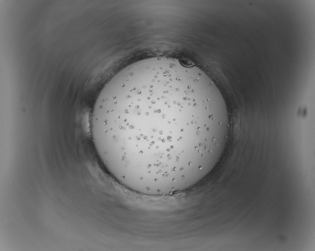 X0000111170042200907151310