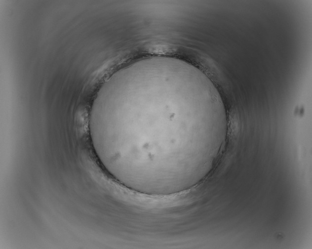 X0000111170043200907151310