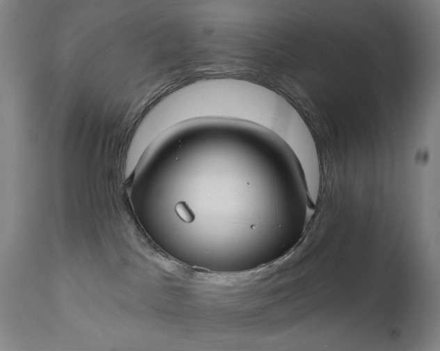 X0000111170045200907151310